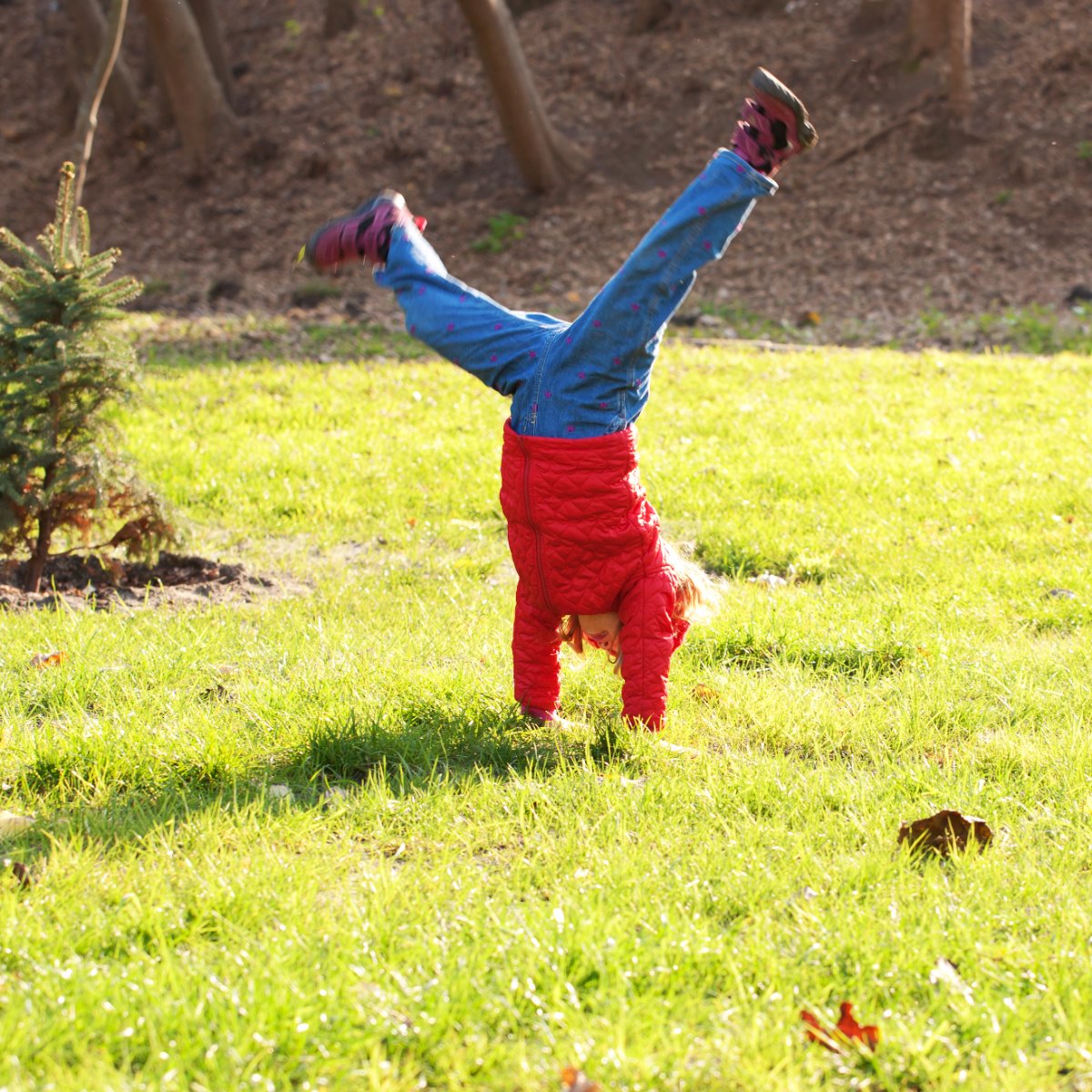 Little girl outside doing a handstand.